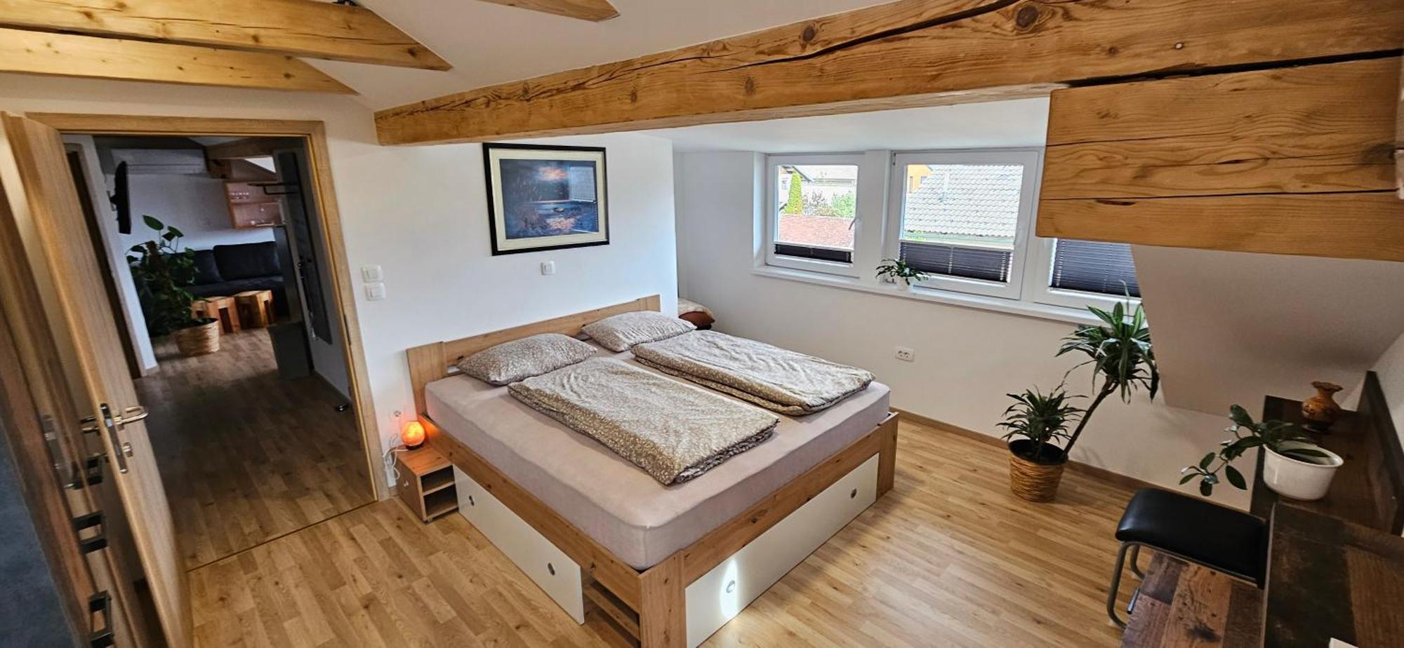 Apartma Ajja Šenčur Eksteriør billede